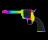 Rainbow Gun